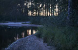 Rasuanniemi - Nocturnal beach